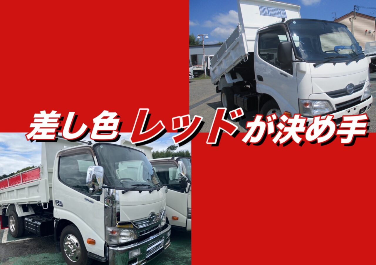 日野 デュトロ ダンプドレスアップ！ 【メッキパーツ取り付け コボレーンシート張り替え 泥除け取り付け】