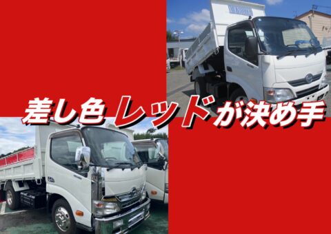 日野 デュトロ ダンプドレスアップ！ 【メッキパーツ取り付け コボレーンシート張り替え 泥除け取り付け】